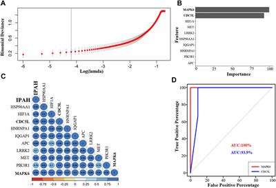 Identification of Crucial Hub Genes and Differential T Cell Infiltration in Idiopathic Pulmonary Arterial Hypertension Using Bioinformatics Strategies